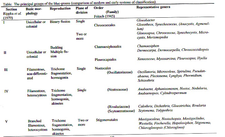 [Img-phyto.jpg]